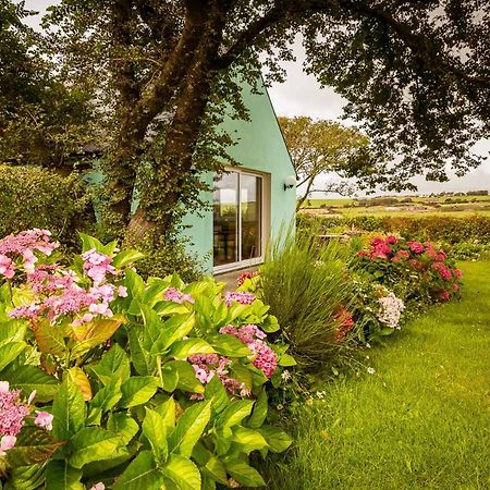 Appartement The Wild Atlantic Hideaway à Clonakilty Extérieur photo